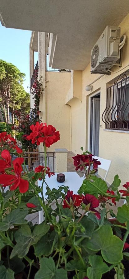 Marianthi'S Apartment Plataria Exterior photo